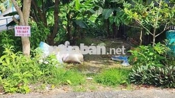 Can ban nen nha o my tra tp cao lanh