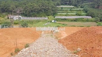 Bán đất mặt tiền DT27C Đạ Sar – 6600m² – 40 tỷ TL
