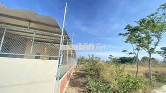 Đất 2 sào 3 - ấp Ruộng Tre - xã Bảo Quang