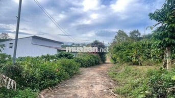 Đất Đambri - Bảo Lộc - DT: 584m2 (21.5x27.8) thế đất cao -oto tận nơi