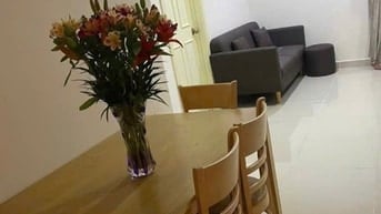 Căn hộ Ruby,Tân Bình 2p ngủ, 2wc có nội thất giá 8tr