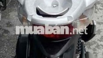 Sh 150i nâu Caffe biển tam hoa