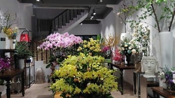 Cho thuê cửa hàng, MBKD, VP phố Nguyễn Khuyến, Văn miếu