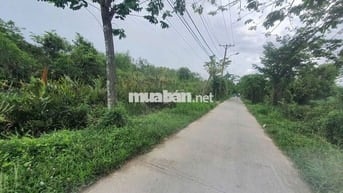Bán 960m2 đất thổ cư mặt tiền đường Liên Ấp 2-3, Hiệp Phước, Nhà Bè