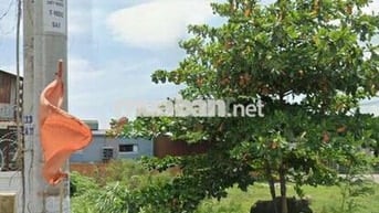 Bán đất lấy vợ lô đẹp đường Nữ Dân Công , Vĩnh Lộc A, Bình Chánh SHR