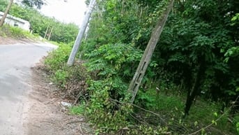 bán đất trồng cây lâu năm, xây nhà để ở, đất cao ráo, bằng phẳng