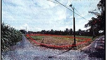 Bán ĐGTS đất tại xã Hậu Nghĩa, tỉnh Tây Ninh