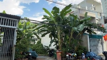 ✅Lô đất 4 x18 hẻm oto Khu dân cư Nam Hùng Vương, An Lạc ,Bình Tân 