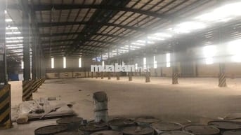 Cho thuê kho 1.800m2, xe container , Hồ Học Lãm , Quận 8, giá : 70k/m2