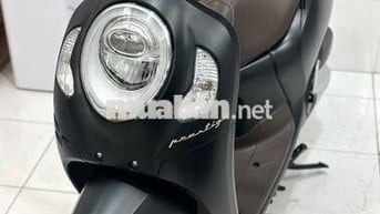 Scoopy Smarkey 2023