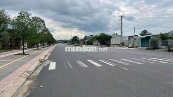 Đất đg Phạm Hồng Thái trung tâm tân phước phú mỹ,dt:10x32 giá 8.2ty