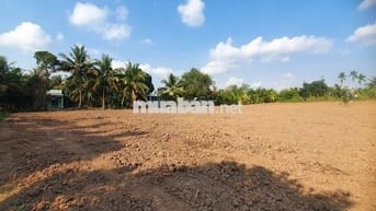Bán nền diện tích lớn: 781 m2, mặt tiền rộng 10m