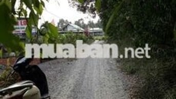Đất thổ cư mặt tiền đường ô tô 1 sẹc QL N2