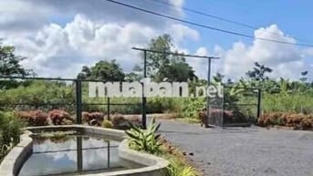 Bán gần 900m2 đất vườn sẵn 100m2 thổ cư,nhà cấp 4 ,tiếp giáp suối bên