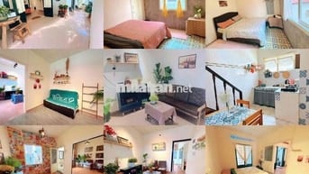 Cho thuê nhà nguyên căn đường Hải Thượng (cách cách chợ Đà Lạt 800m)