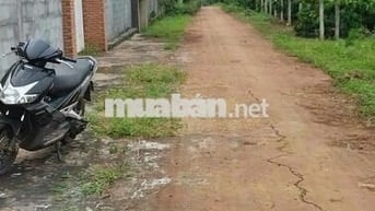 Đất NN phường Buôn Ma Thuột.( Hàng hiếm )