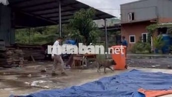 Kho đẹp cần cho thuê gấp ở Huỳnh Tấn Phát diện tích 800m2 có pccc