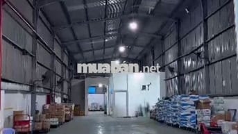 Cần cho thuê gấp kho ở Đường Huỳnh Tấn Phát diện tích 800m2