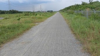 Chính chủ cần bán 376m2 đất lúa mặt tiền 48m tại Nhơn Trạch, Đồng Nai.