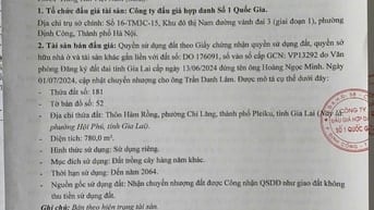 CÔNG TY ĐẤU GIÁ HỢP DANH SỐ 1 QUỐC GIA THÔNG BÁO BÁN ĐẤU GIÁ TÀI SẢN