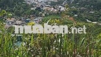CẦN BÁN GẤP ĐẤT NN SỔ HỒNG RIÊNG HẺM OTO TP ĐÀ LẠT