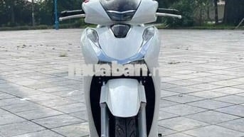 SH Siêu Lướt 2025 Chất _ Bảo Hành 3 Năm