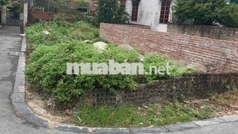 ĐẤT Ô TÔ VÀO - CÁCH CẦU TỨ LIÊN 1KM, ĐẦU TƯ SINH LỜI CAO