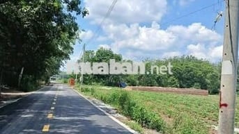 Chủ đi nước ngoài cần sang miếng đất mặt tiền DH504