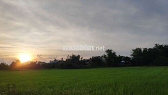 Chính chủ Đất vườn đẹp 1113m2 có thổ cư