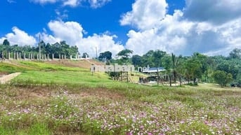 Lô cặp liền kề 406m2 ngang 12m2 sẵn hạ tầng đẹp đường nhựa8m sổ hồng