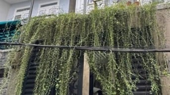 Bán Nhà Bùi Đình Tuý p.12. Quận Bình Thạnh, Ngang: 4.30x13m giá 9,5tỷ