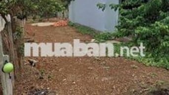 Km11 KoTam - Tân An mới, mặt tiền đường nhựa D3 còn sót 1 em to và dài