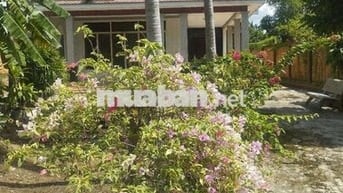 Cho thuê lâu dài biệt thự 1200m2 ở cạnh xã Tân Lý Tây cũ