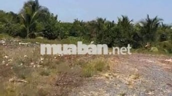 Bán 12.000M2 Đất Lúa -2 Mặt Tiền Châu Thị Kim, An Vĩnh Ngãi, TP Tân An