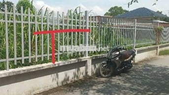 🙋♂️CHỦ CẦN BÁN ĐẤT 597M² ĐÃ THỔ CƯ ĐƯỜNG NHỰA THÔNG XE TẢI GIÁ TỐT