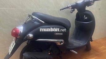 xe ga 50 cc đời cao nguyên bản