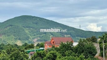 Đất xã Nam Ban cách Đường Điện Biên Phủ 500m sẵn thổ cư