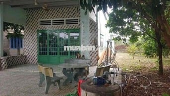 💥 NHÀ VƯỜNG CHƠN THÀNH – SỔ RIÊNG – GIÁ CHỈ 4XX💥