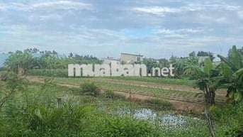 Chính chủ gia đình cẩn bán đất mặt tiền, vị trí đẹp