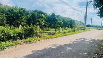 Ngộp tiền cần sang lại (40x60=2462m2) đất shr có sẵn vườn mít dân đông