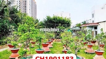Đất MT Lê Tấn Bê - 24 x 80M - 59 Tỷ - Quận Bình Tân