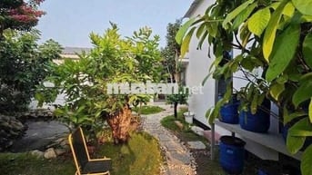 Cần Bán Gấp Lô Đất Làm Vườn Dt:1000m2 Đường Xe Hơi Giá Chỉ 1tr8/m2