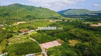 Bán đất tại Thị trấn Phước Hải, View núi Minh Đạm giá 2,05 tỷ, 255m2