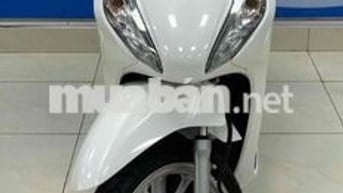 Bán xe Vision cuối 2024