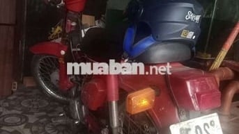 2 chiếc dd Nhật màu đỏ