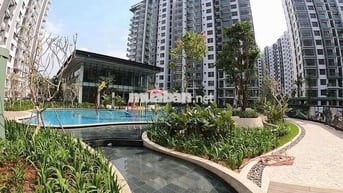 🏡 CHO THUÊ CĂN HỘ EMERALD CELADON CITY – VIEW ĐẸP,