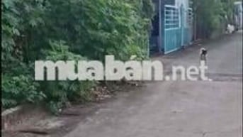 bán đất tân khánh. hồ chí minh