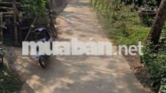 Điện Phương, Điện Bàn. Đà Nẵng. Chấp giá toàn khụ vực 700 triệu, 154m²