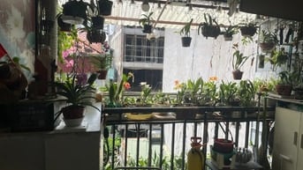 Gia đình chính chủ cần bán nhà Tập thể