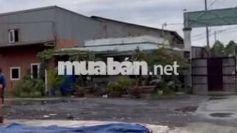 Cho thuê kho xưởng Q7 - diện tích 760m2